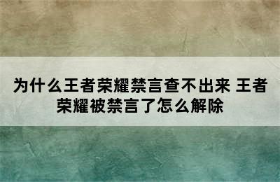 为什么王者荣耀禁言查不出来 王者荣耀被禁言了怎么解除